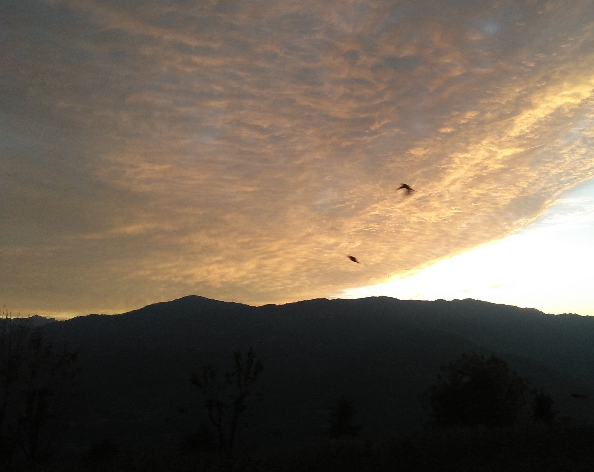 शुक्रबारको मौसम प्रभावः सडक यातायातदेखि हवाई यातायात  प्रभावित हुन सक्ने चेतावनी